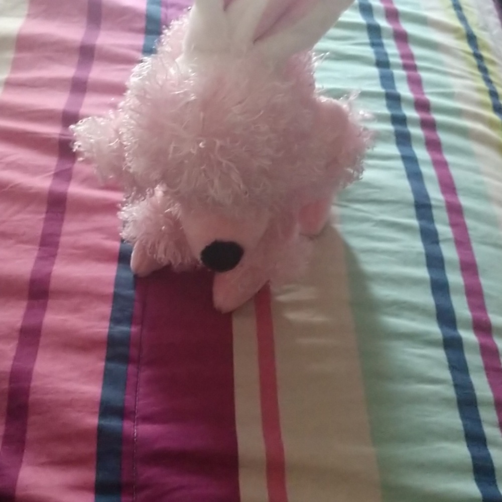 Stuffed animal